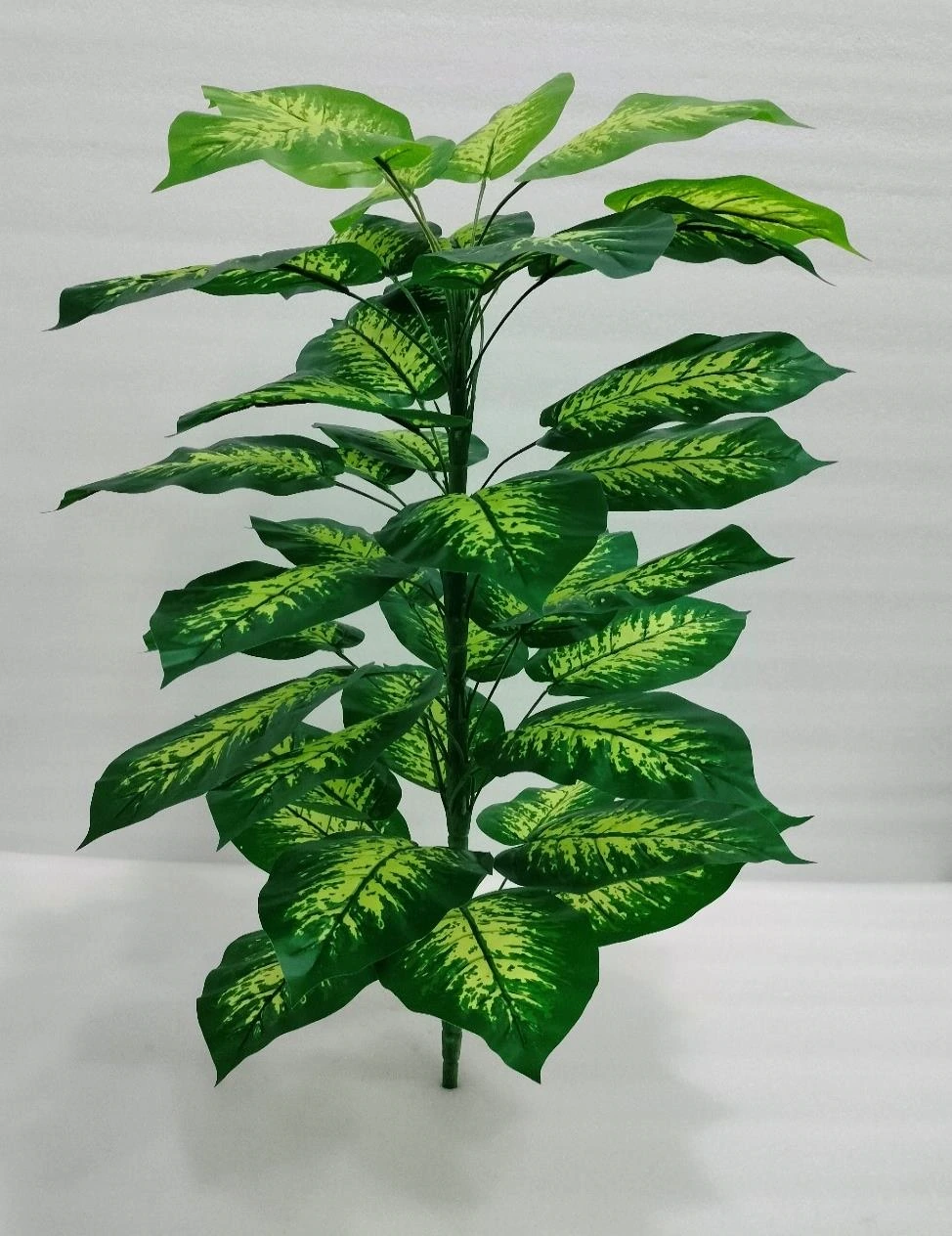 Money Plant/Bunch Big 34+5 95cm